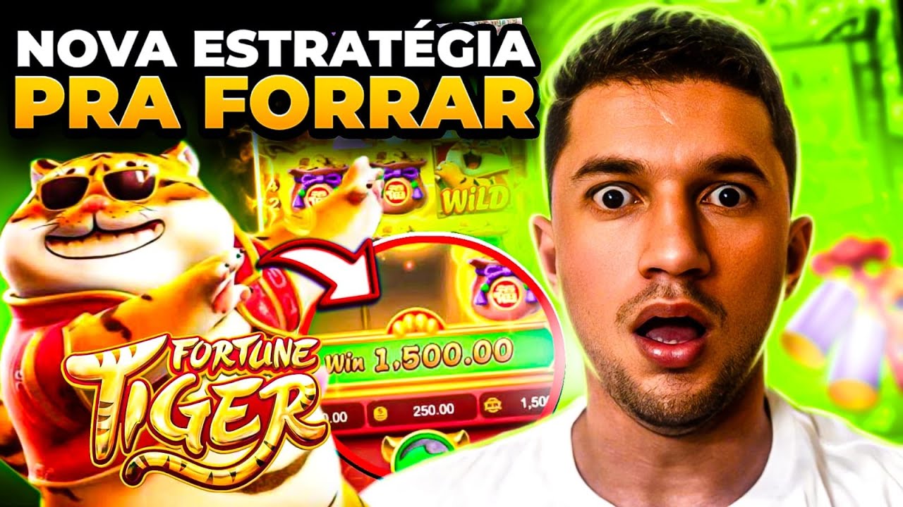 os melhores horarios para jogar fortune tiger